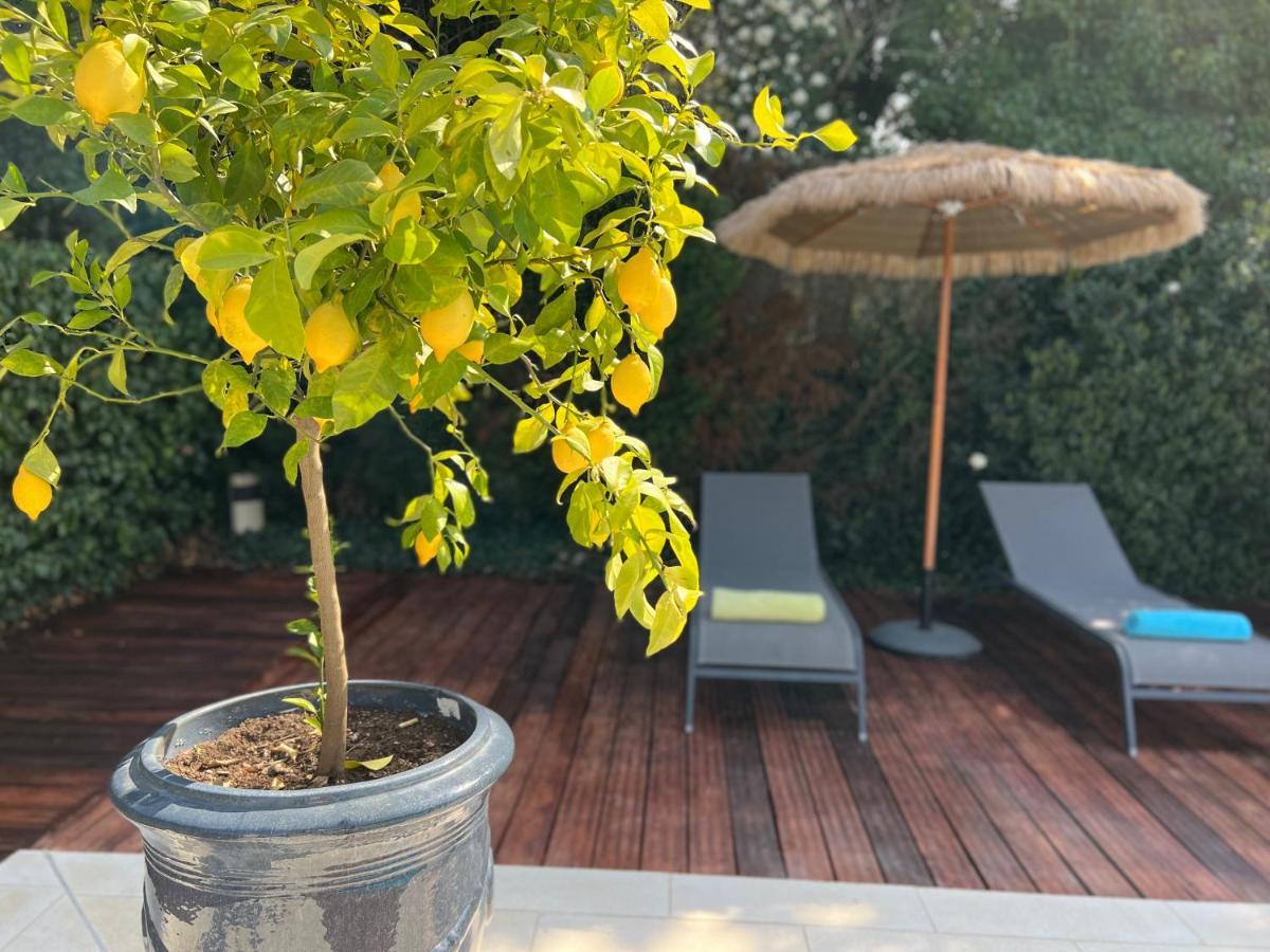 Saint-Rémy-de-Provence Residence Les Sources מראה חיצוני תמונה